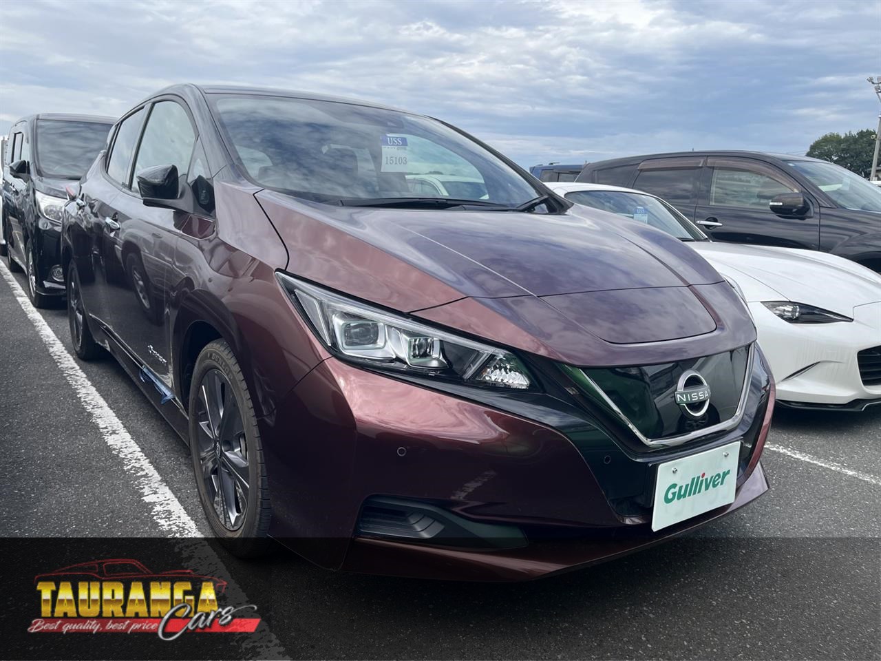 2021 Nissan Leaf